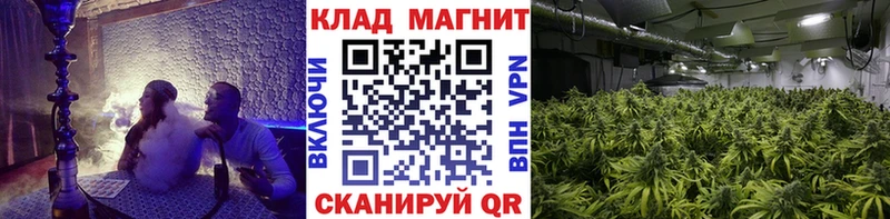 Наркошоп купить Кокаин  Меф  ГАШ  Канабис  Дмитровск