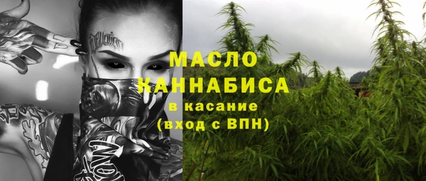 молекула духа Инта