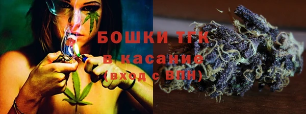 стафф Иннополис