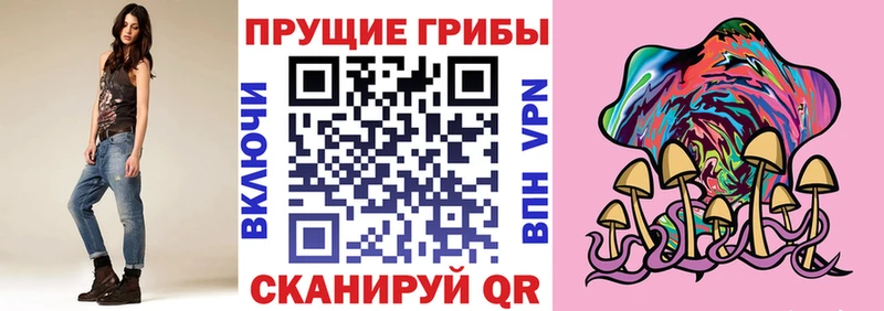 Купить  Дмитровск  Галлюциногенные грибы прущие грибы 